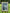 Grey Reverence – Portrait Palette Painting by Professor's Gallery
